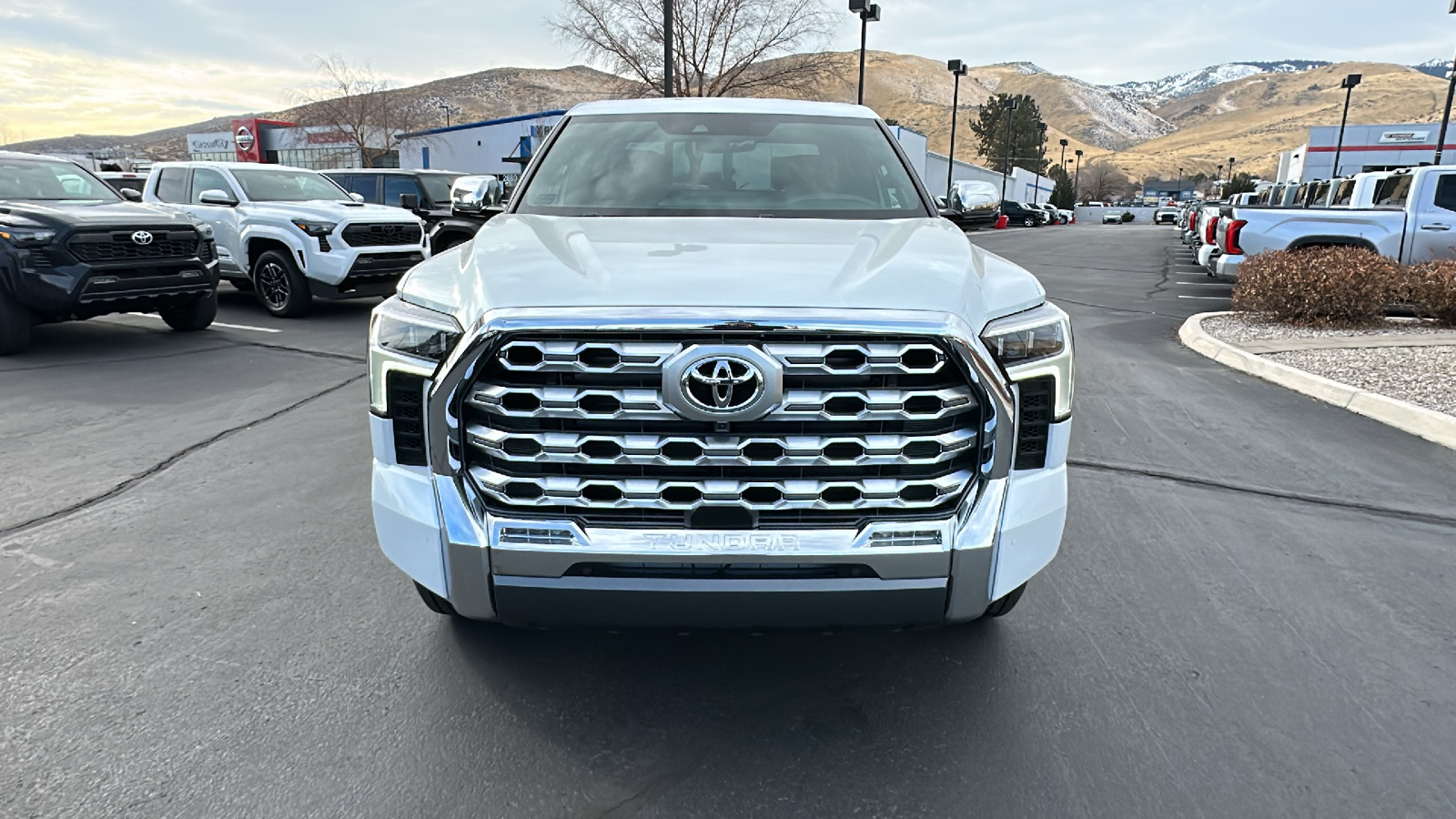 2025 TOYOTA Tundra 1794 Edition 8