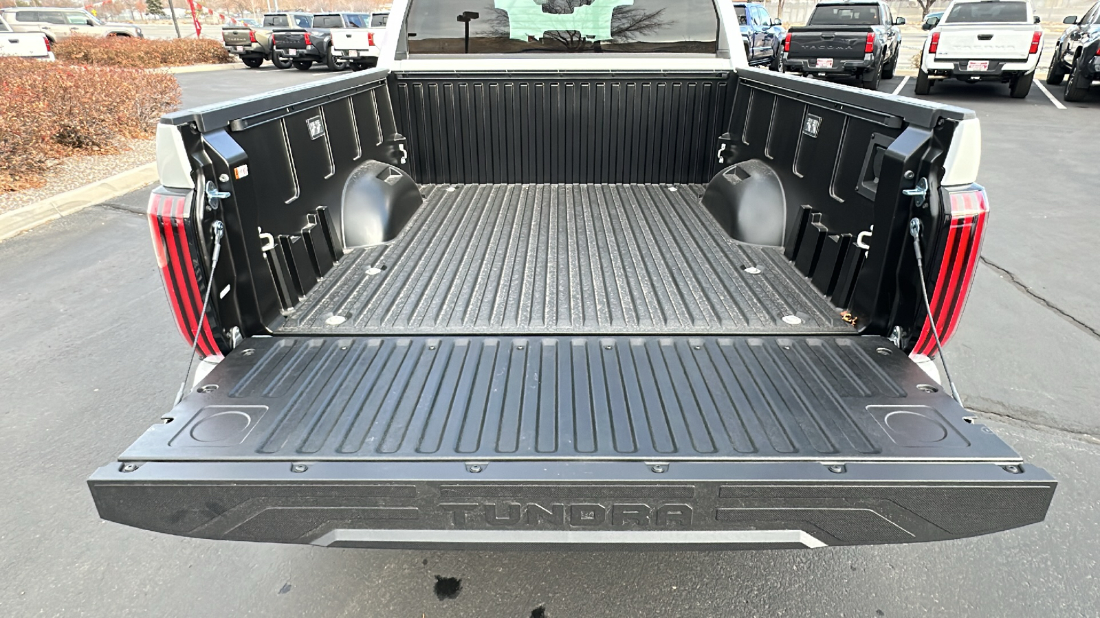 2025 TOYOTA Tundra 1794 Edition 20