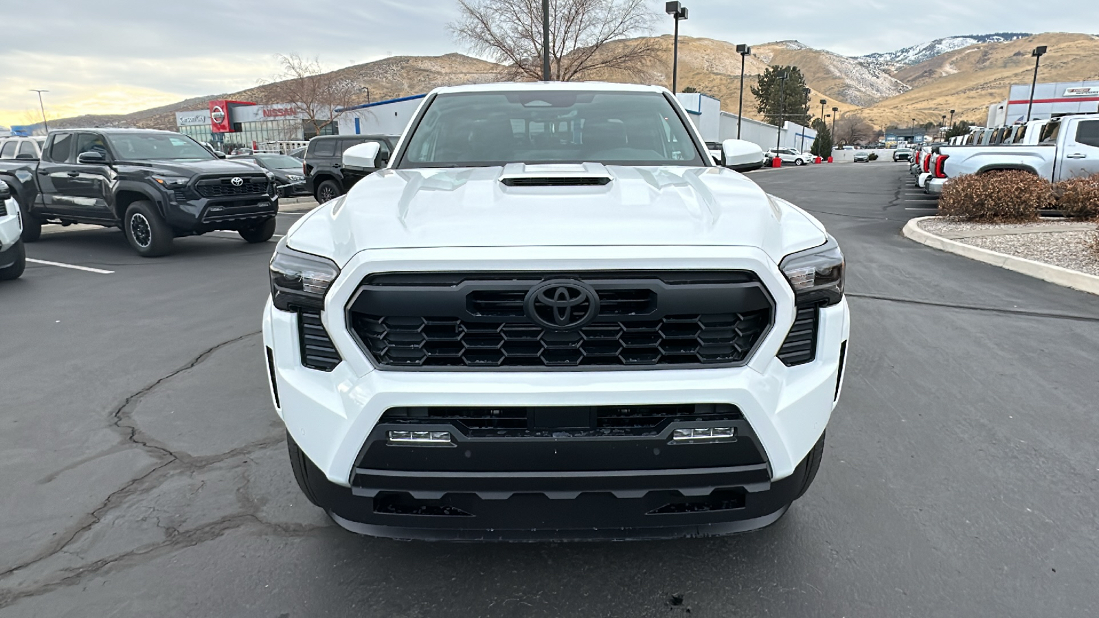 2025 TOYOTA Tacoma TRD Sport 8