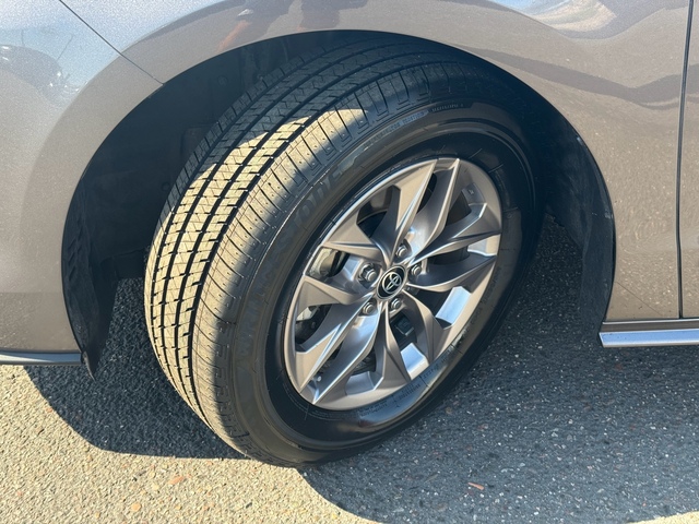 2021 Toyota Sienna LE 12