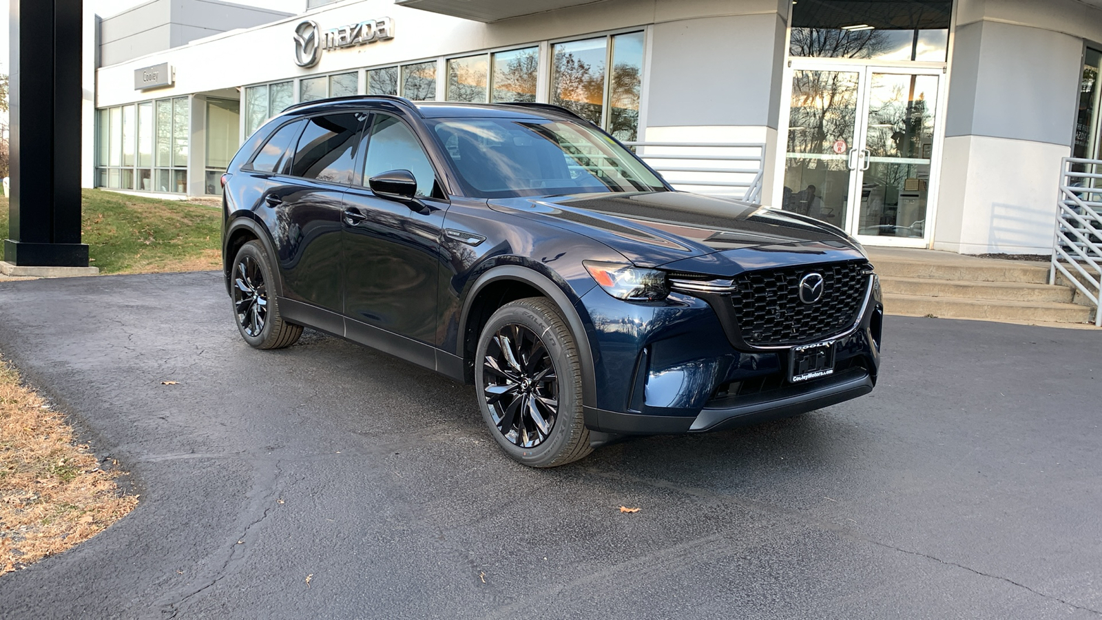 2025 Mazda CX-90 3.3 Turbo Premium 3