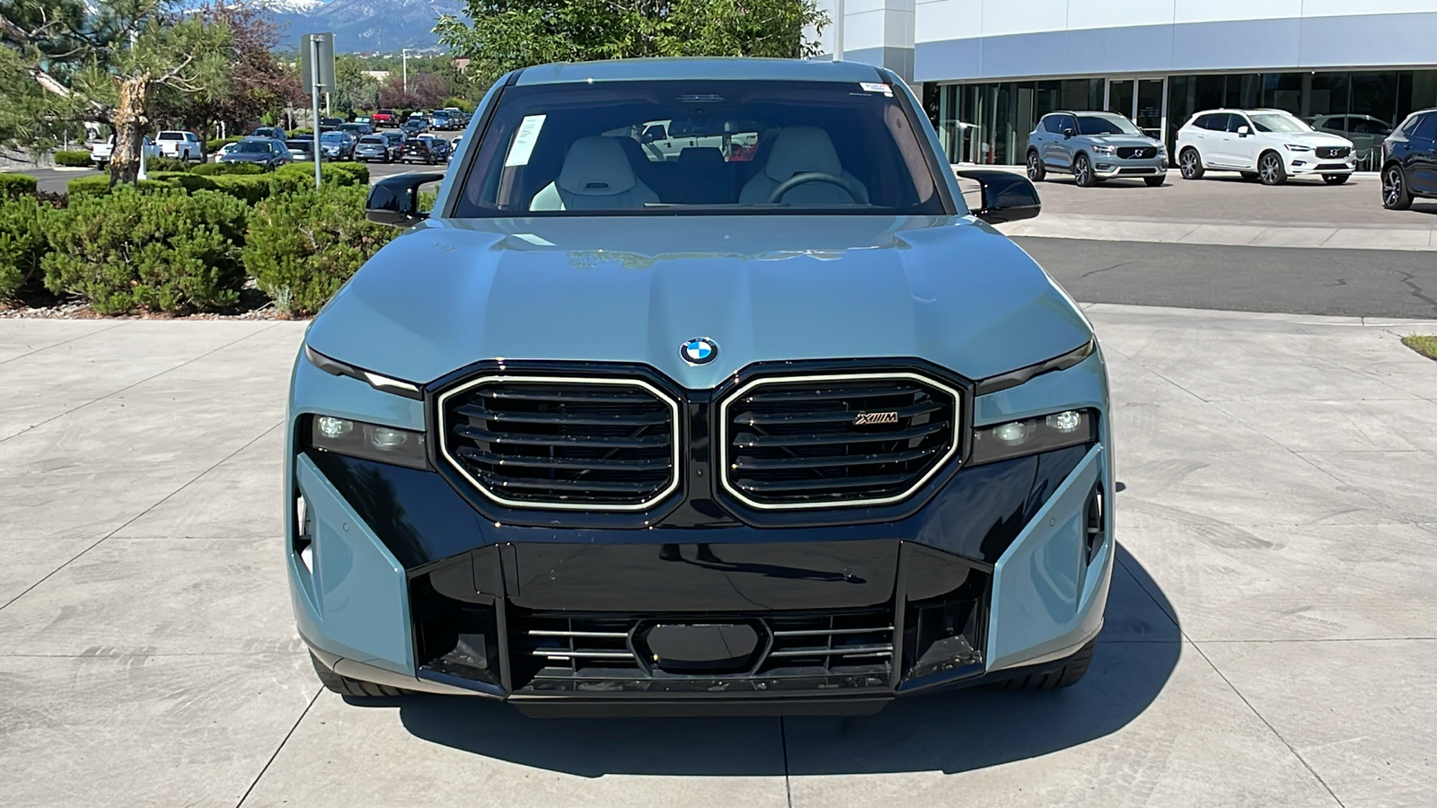 2024 BMW XM Base 9
