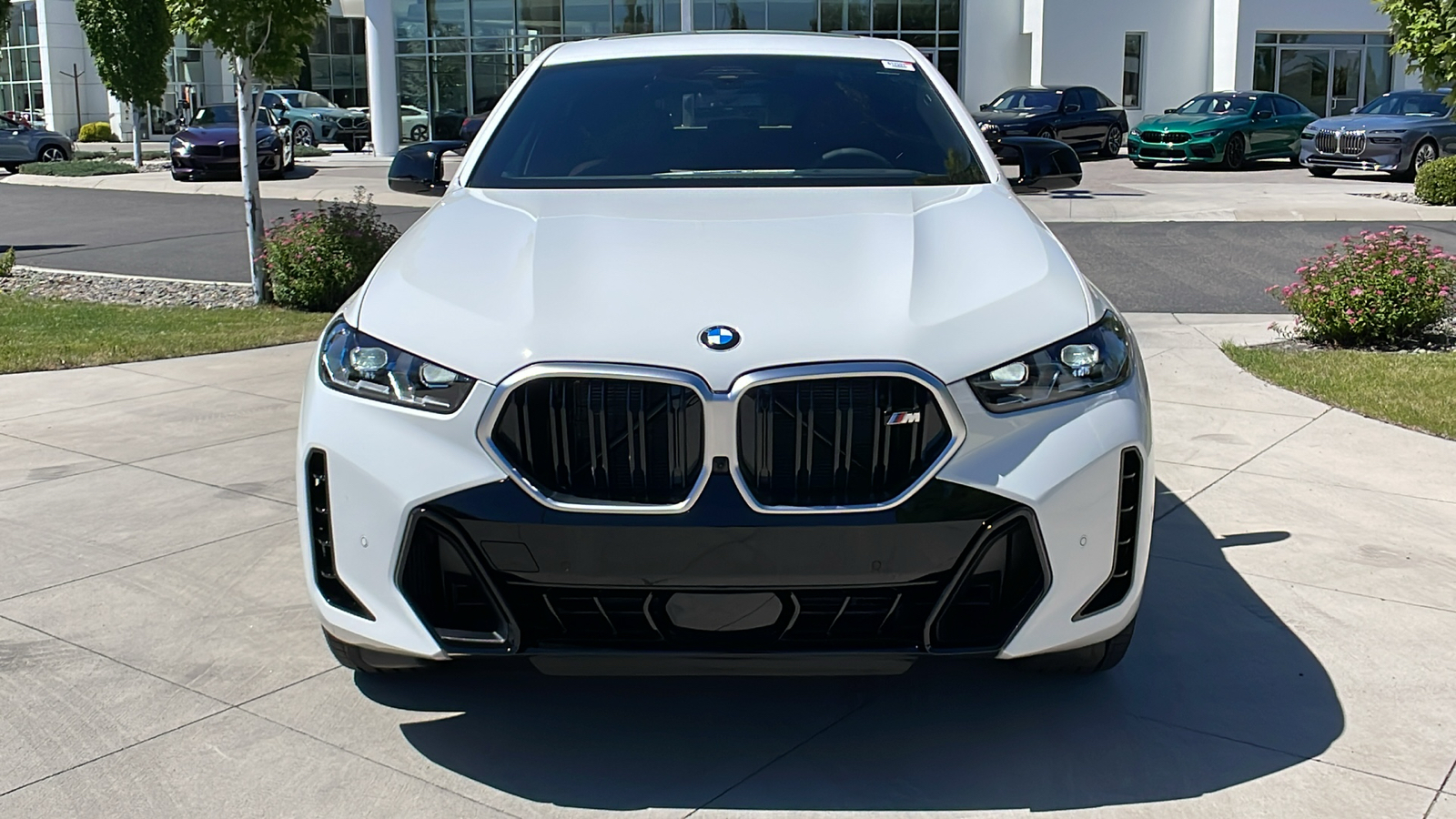 2025 BMW X6 M60i 9