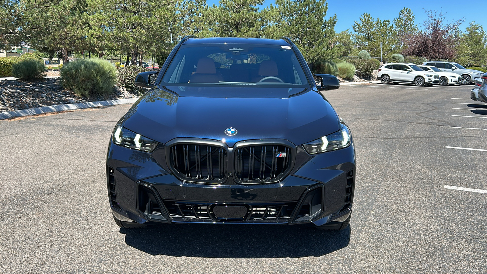 2025 BMW X5 M60i 6