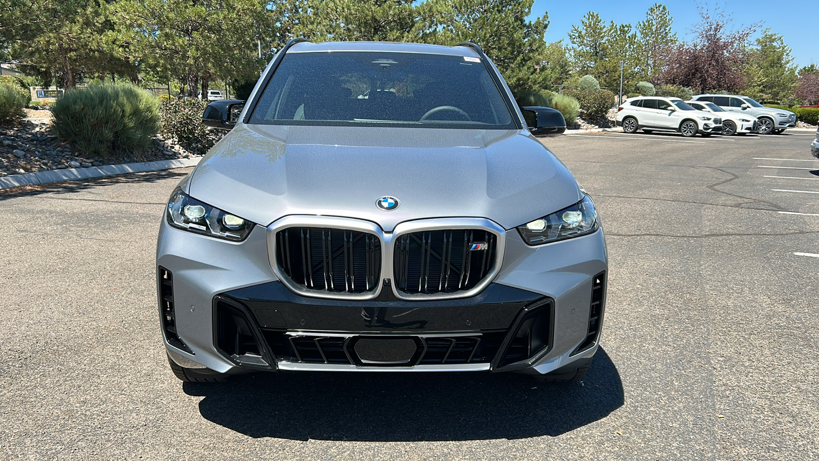 2025 BMW X5 M60i 6