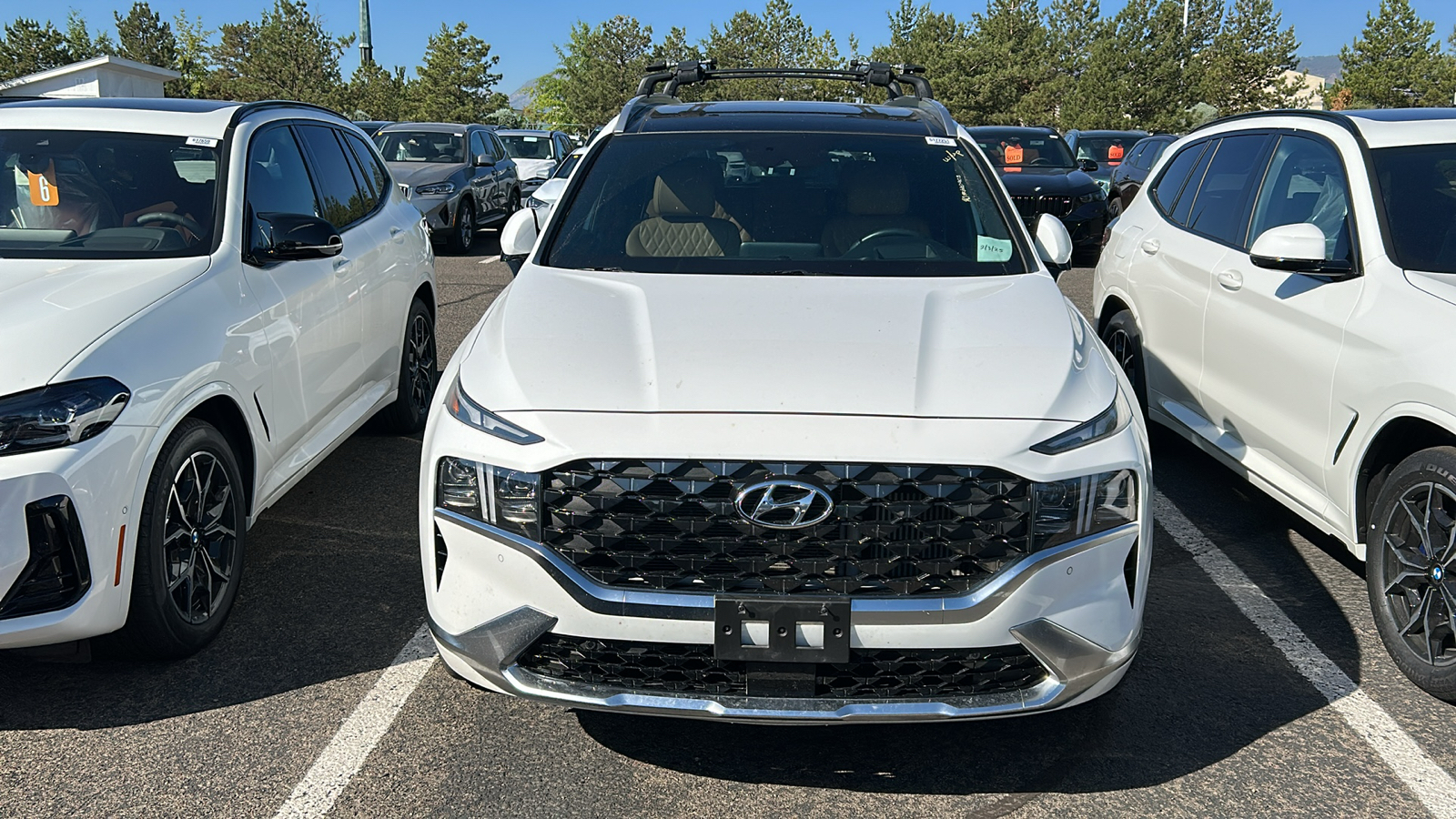 2023 Hyundai Santa Fe Calligraphy 2