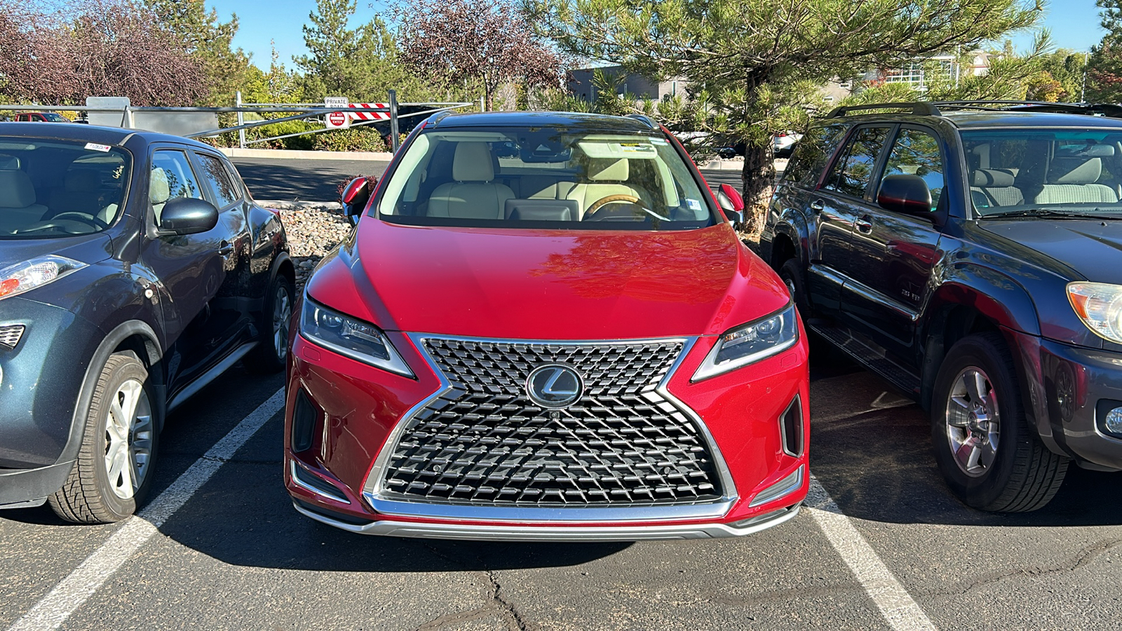 2020 Lexus RX RX 350 2