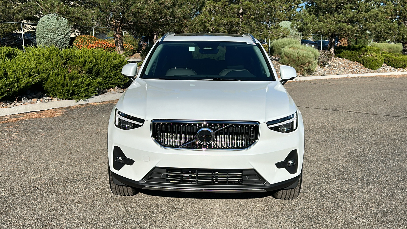 2025 Volvo XC40 Plus Bright Theme 6