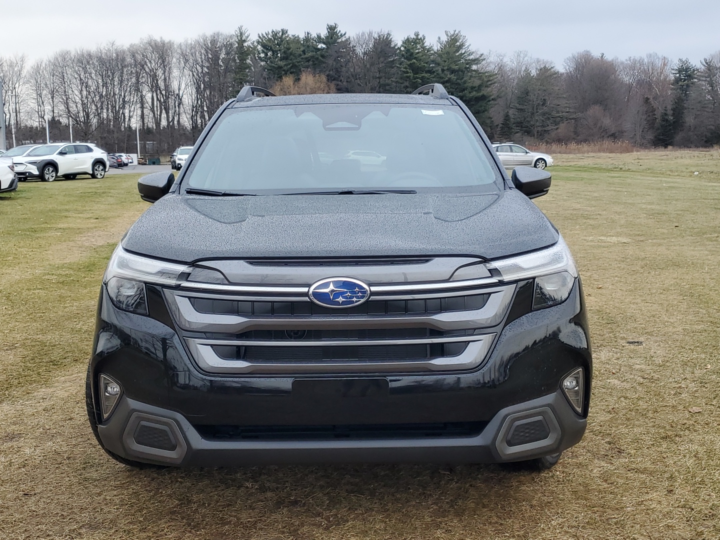 2025 Subaru Forester Limited 2